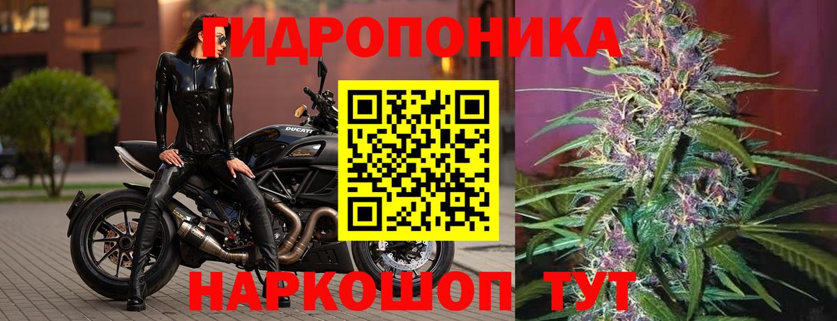 Каннабис марихуана Анжеро-Судженск